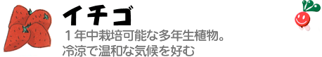 �C�`�S