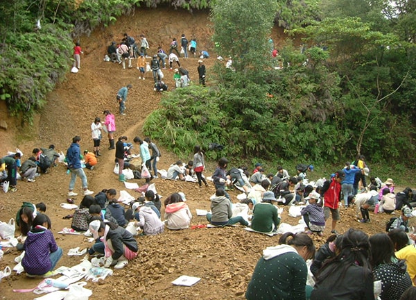 佐川町立佐川地質館