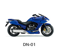 DN-01