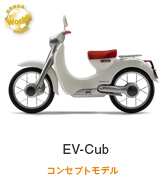 EV-Cub RZvgf