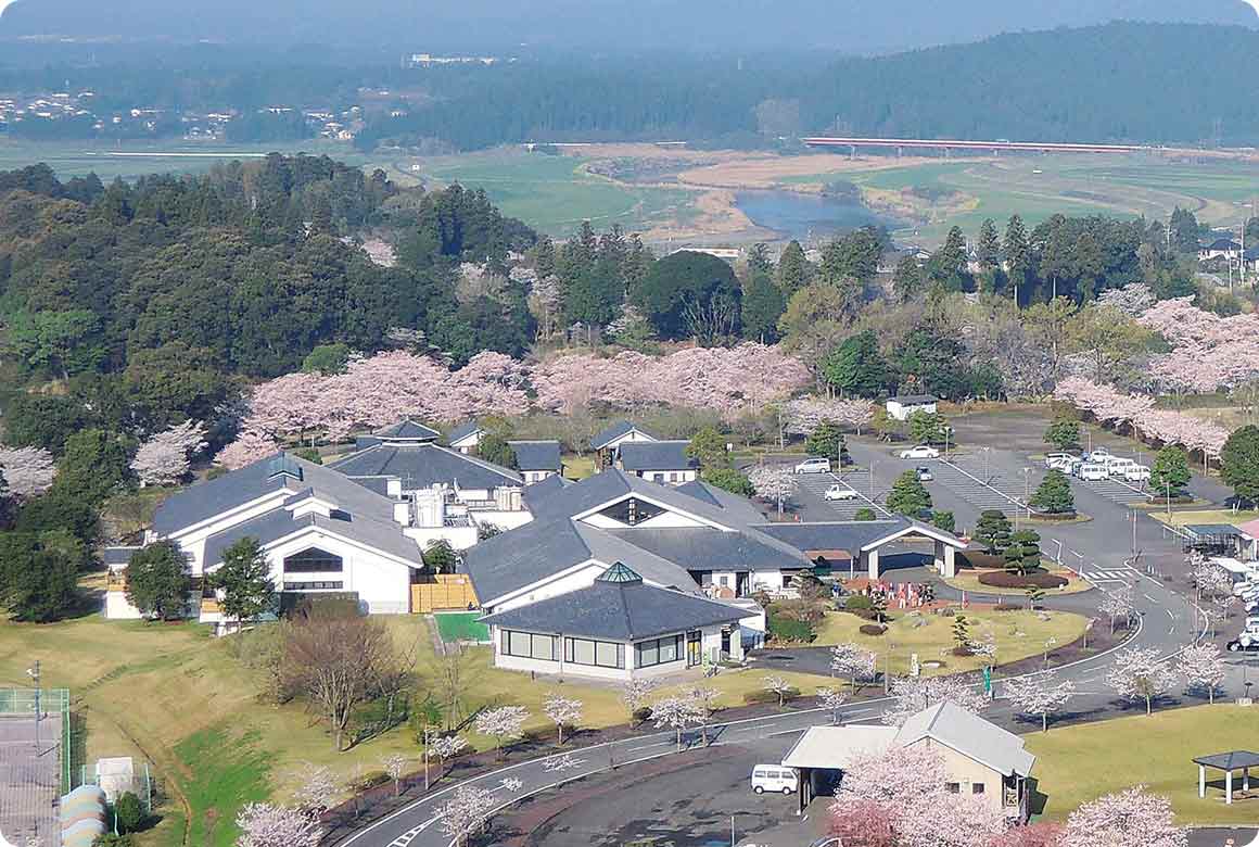東京ドーム約13個分もの敷地を持つ観音池公園は桜の名所として人気の場所