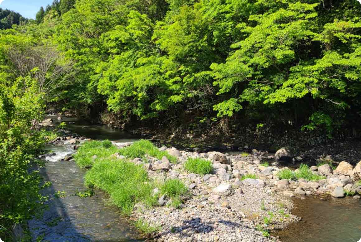 キャンプ場の目の前を流れる松木川は、6月になると蛍が飛び交います