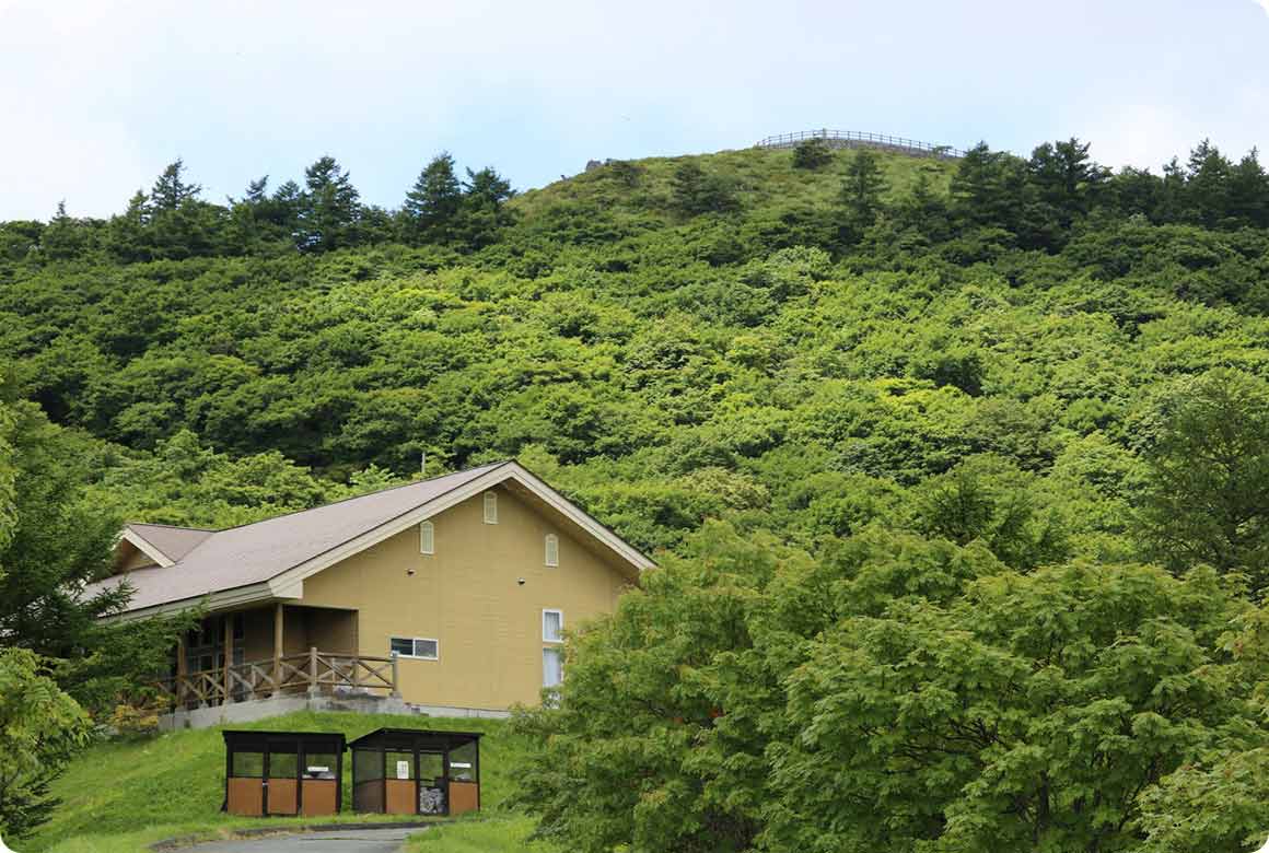 キャンプ場から室根山山頂付近を仰ぎ見る。5月末〜6月上旬にはツツジが見ごろ