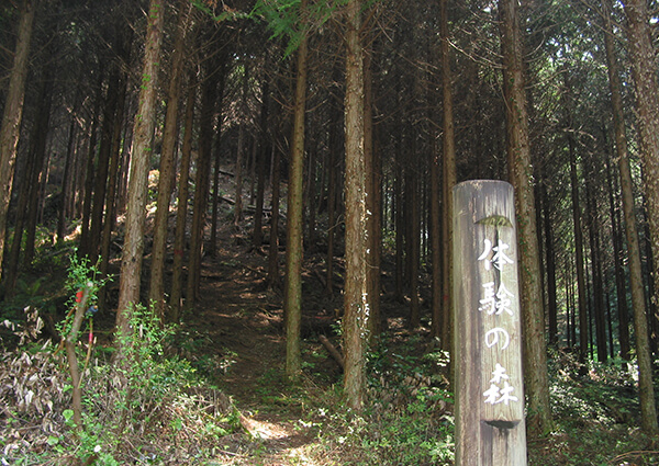 天竜川の支流で、日本三大人工美林を守る