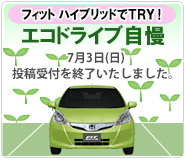 �C���T�C�g��TRY�I�G�R�h���C�u����