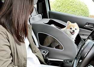 ドッグアイテム