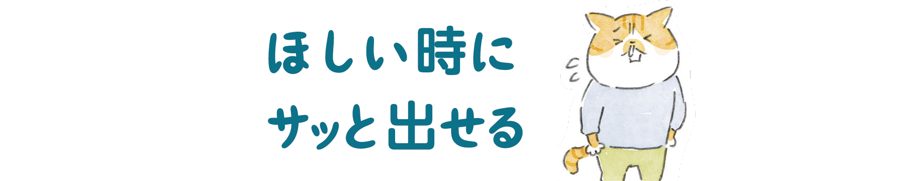 車内をすっきり整えて、もっと心地よい空間に。