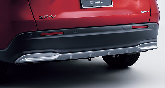 リアロアーガーニッシュ