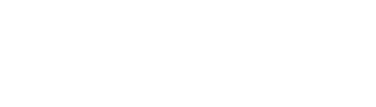 プレミアムバッテリー極板洗浄剤