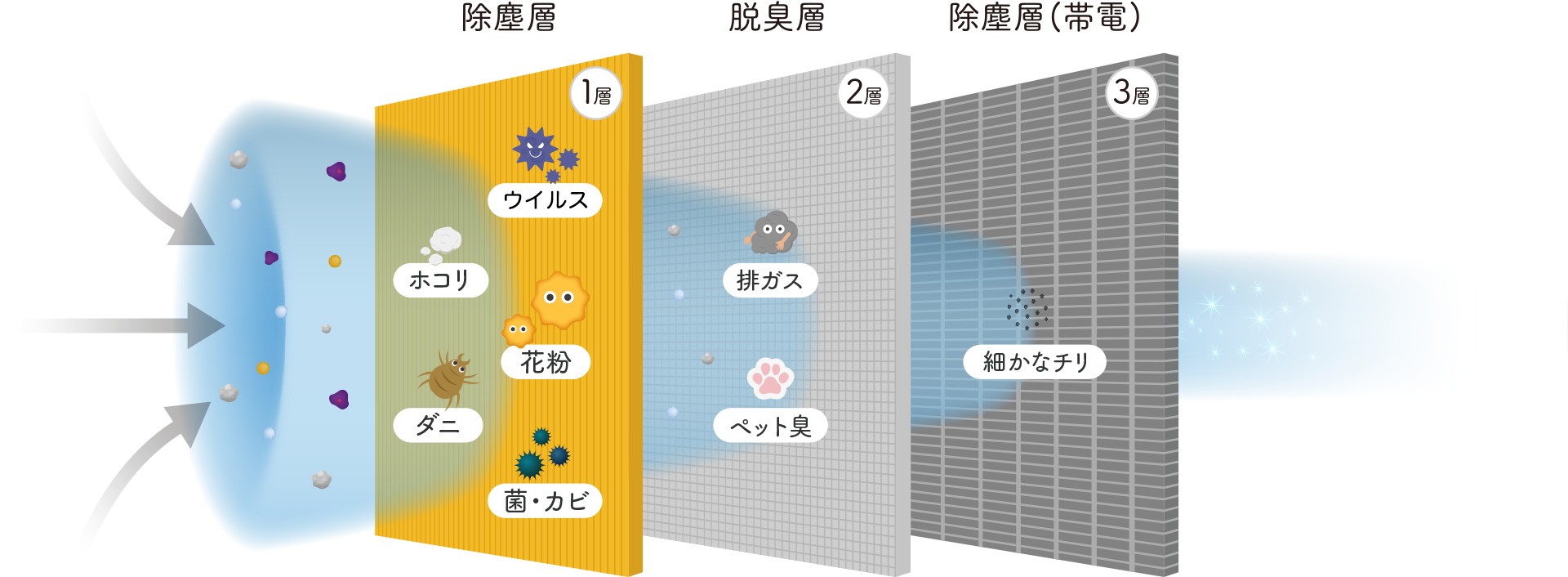 構造