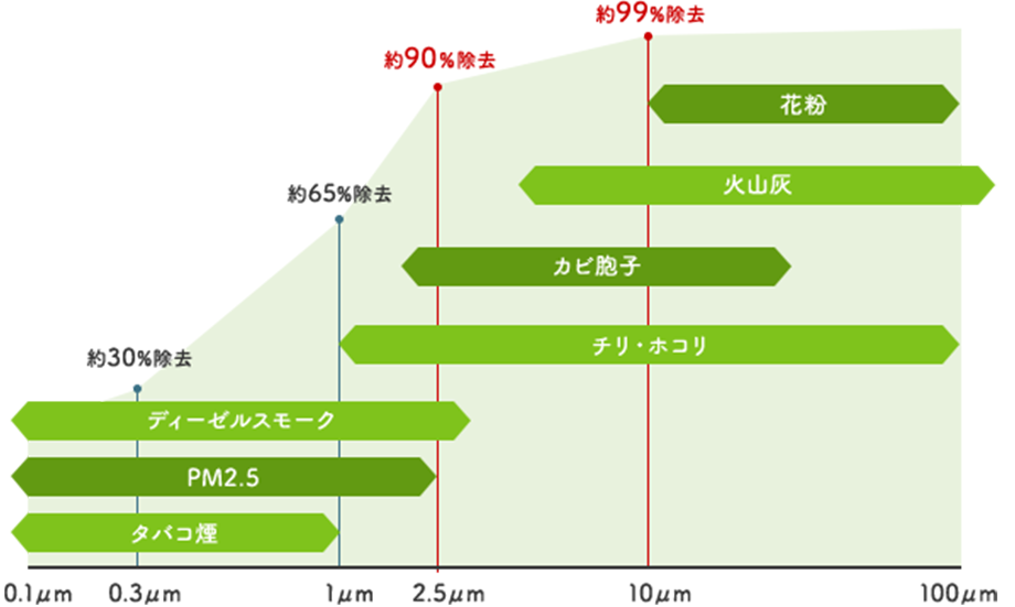 除去可能な粒子