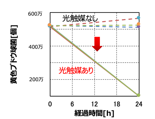 アセトアルデヒド