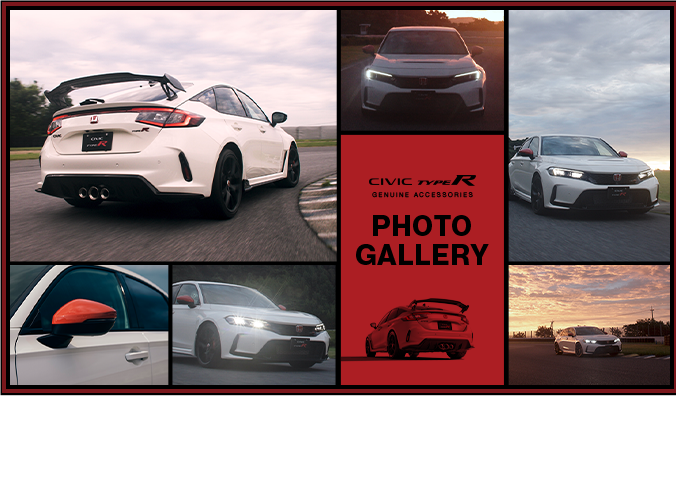 フォト ギャラリー