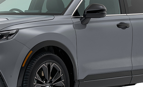 ボディーコーティング