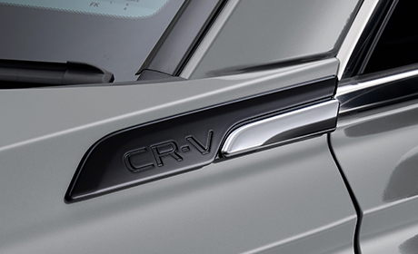 フェンダーガーニッシュ