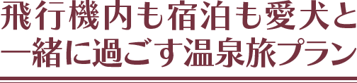 飛行機内も宿泊も愛犬と一緒に過ごす温泉旅プラン
