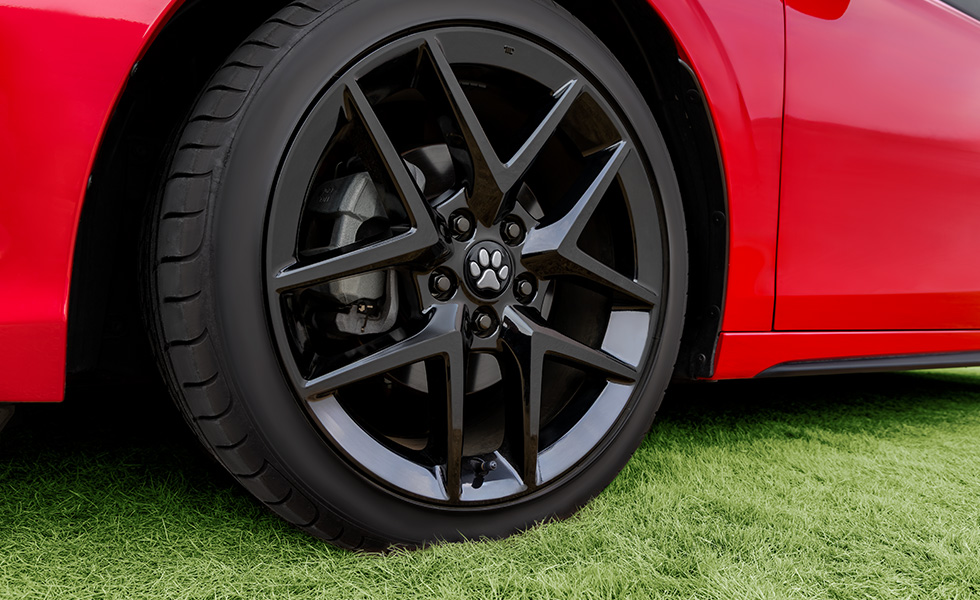 フロントタイヤ装着部のアップ。