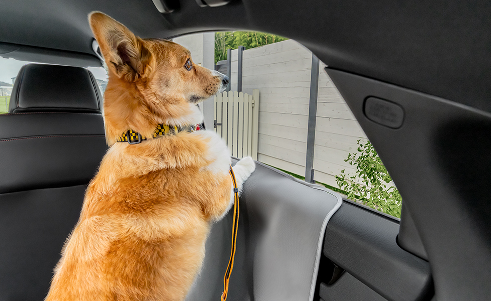 わんこがカバーに足を掛けたときのイメージ。