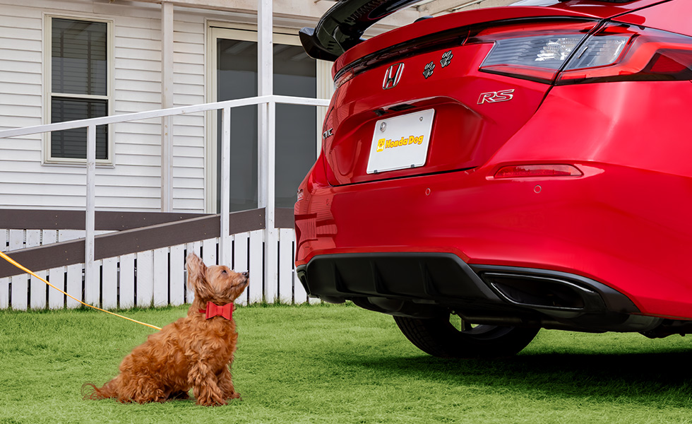 リア右側から見たときのイメージ。