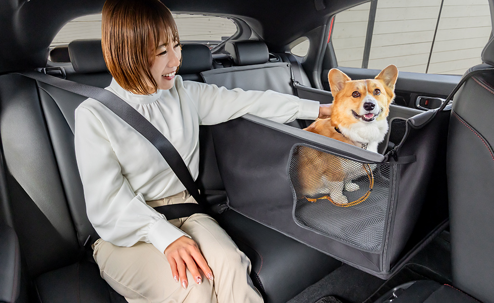 わんこの隣に座ったときのイメージ。