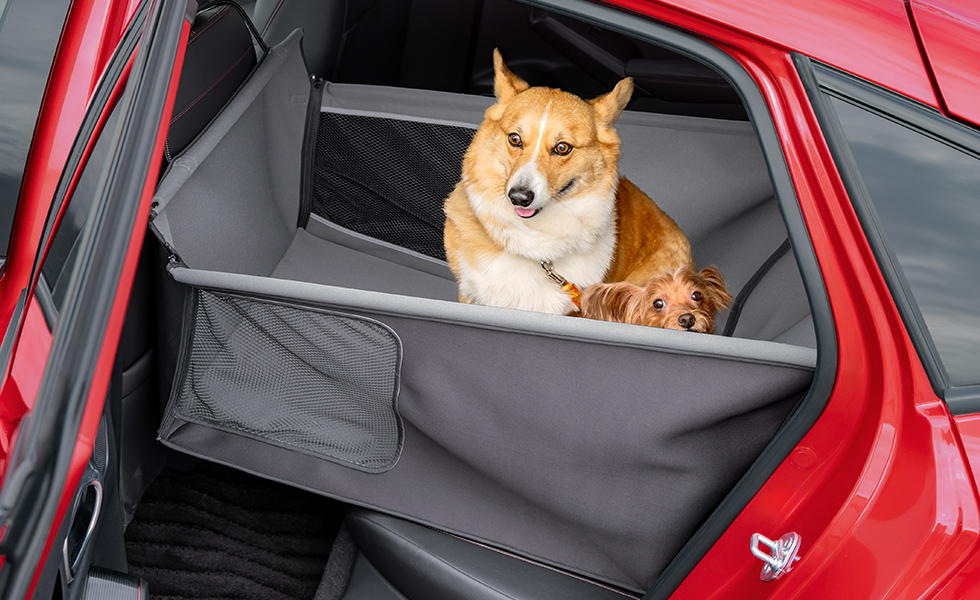 多頭のわんこが乗車したときのイメージ（合計25kgまで）。