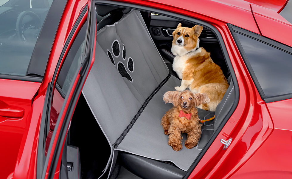 多頭のわんこが乗車したときのイメージ。