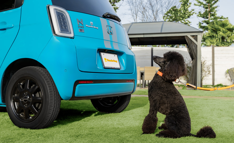 リア左側から見たときのイメージ。