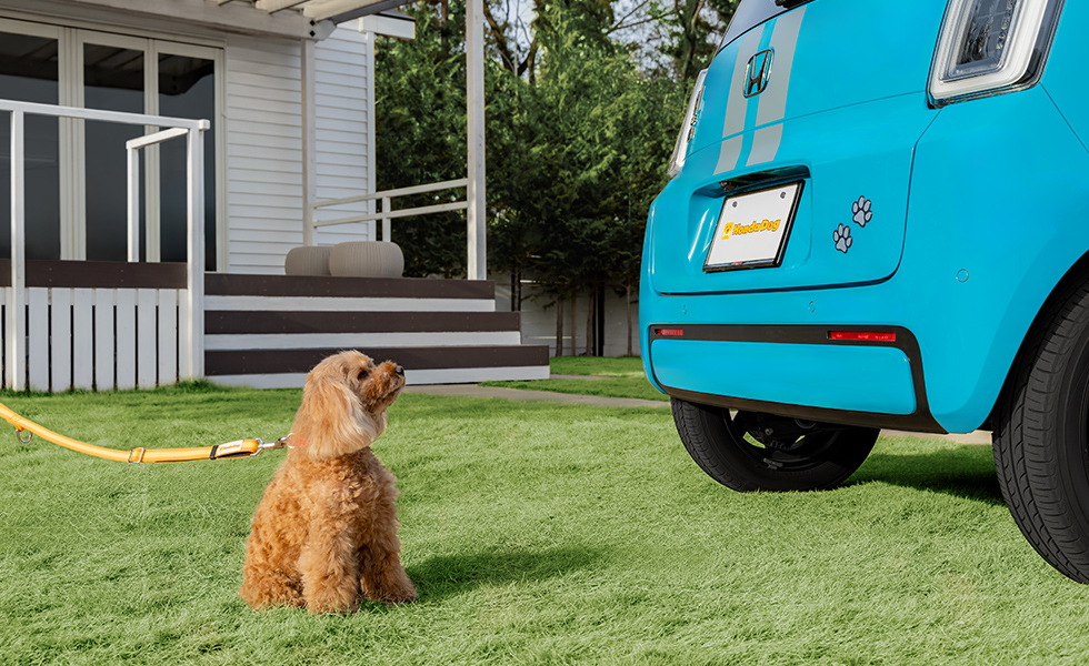 リア右側から見たときのイメージ。