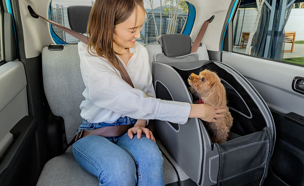 後席でわんこの隣に座ったときのイメージ。