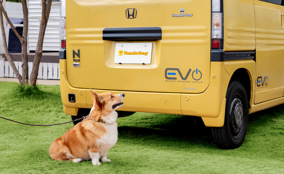 リア右側から見たときのイメージ。