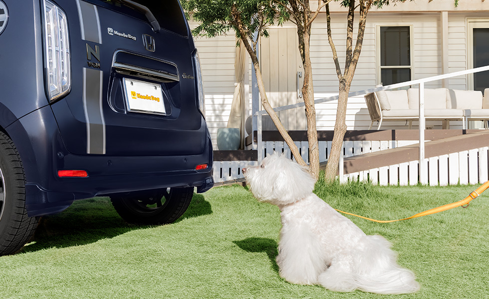 リア左側から見たときのイメージ。