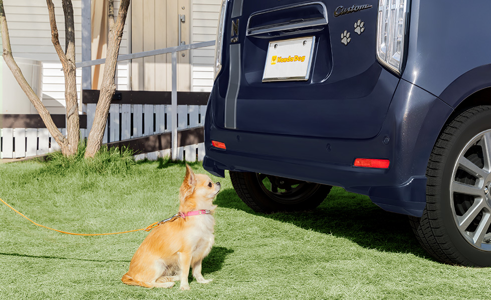 リア右側から見たときのイメージ。