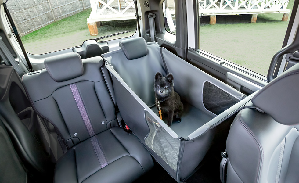 運転席からのわんこの見え方。