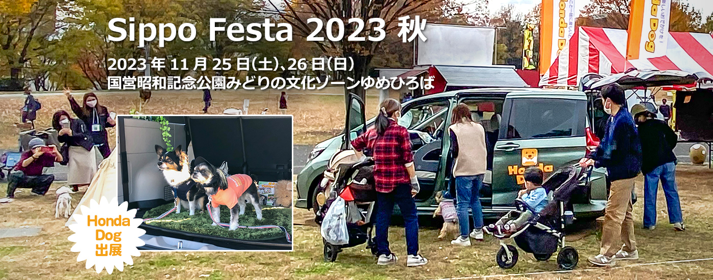 Sippo Festa 2023 秋