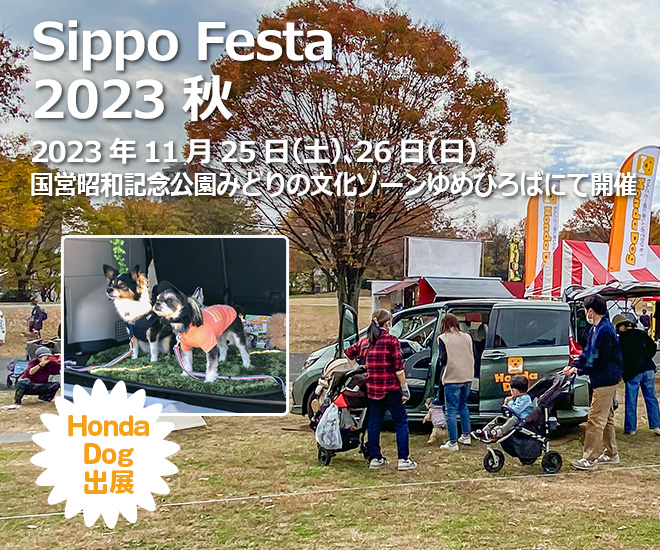 Sippo Festa 2023 秋