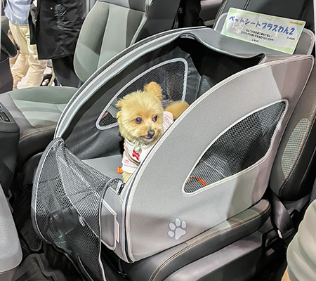 インターペット東京