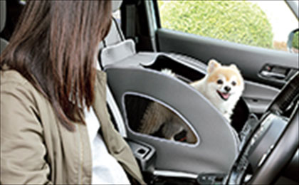 ドッグアイテム