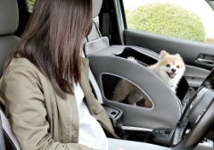 ドッグアイテム