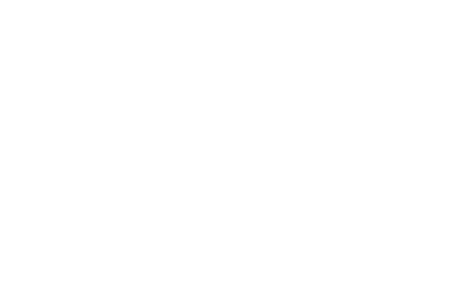 Wild Premium STYLE