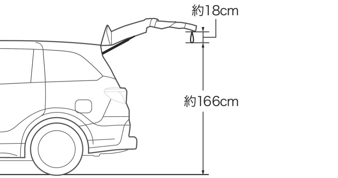 テールゲートストラップ