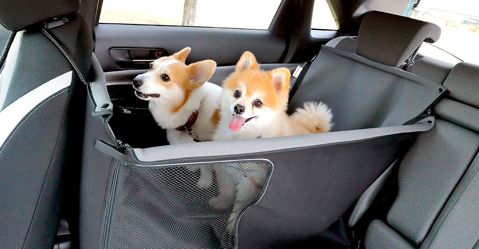 Honda純正愛犬用アクセサリー「Honda Dog」シリーズ画像を公開