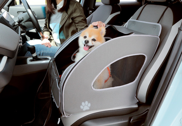 HondapANZT[uHonda DogvV[Y摜J
