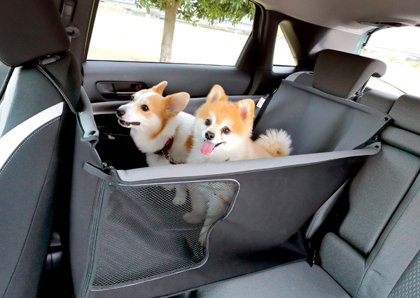HondapANZT[uHonda DogvV[Y摜J