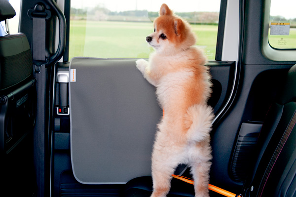 HondapANZT[uHonda DogvV[Y摜J