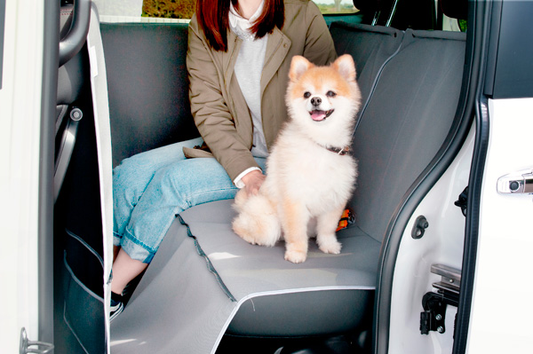 HondapANZT[uHonda DogvV[Y摜J