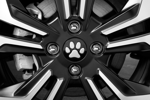 HondapANZT[uHonda DogvV[Y摜J