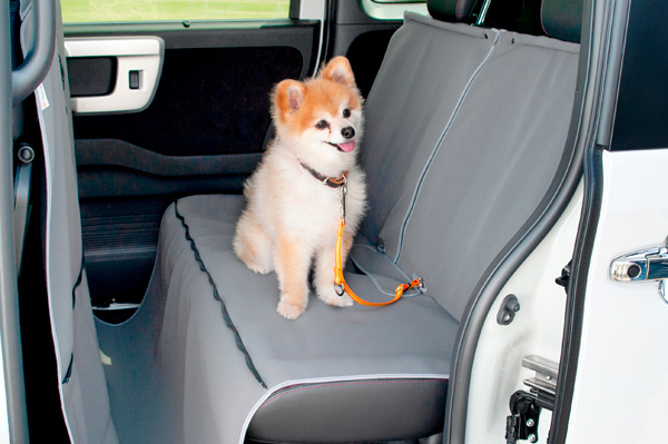 HondapANZT[uHonda DogvV[Y摜J