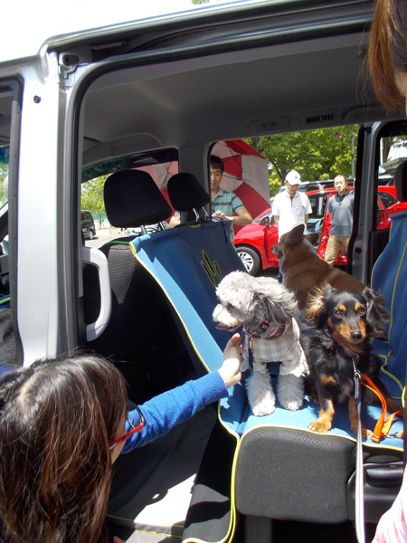 Honda���������p�A�N�Z�T���[�uHonda Dog�v�V���[�Y�摜�����J