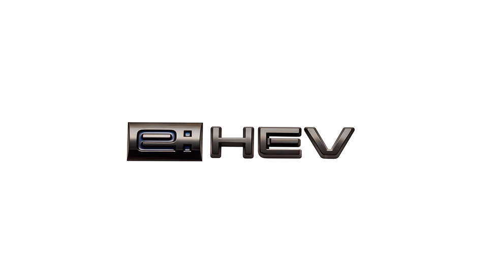 ubNGuie:HEVGuj
