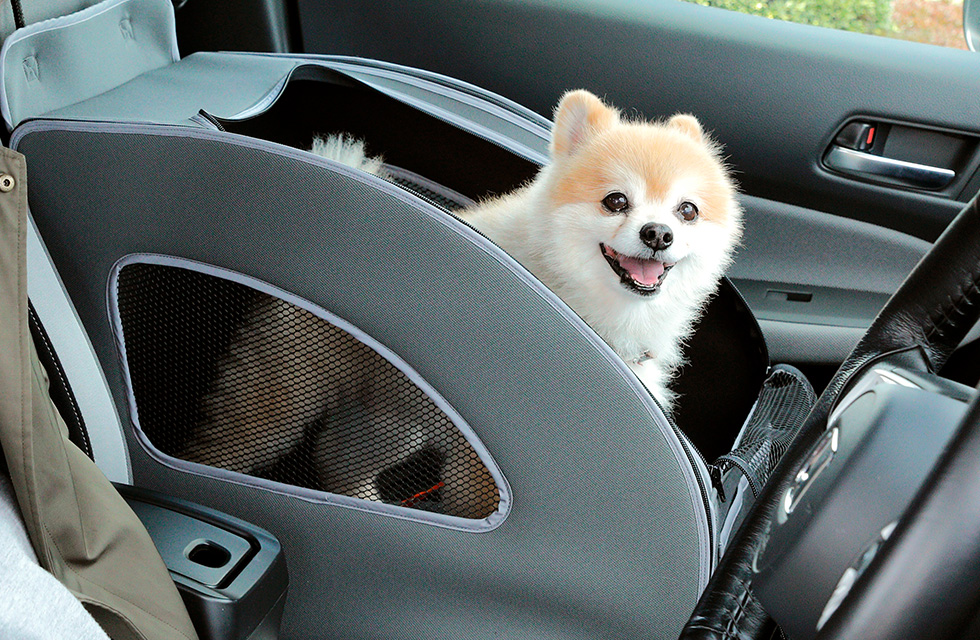 uHonda DogvV[Y ybgV[gvX2